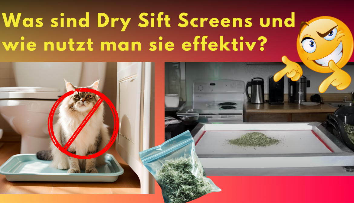 Verwendung von Dry Sift Screens für Trichom-Extraktion