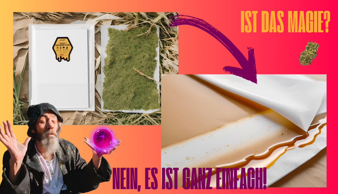 Magische Extraktion von Rosin, keine Magie, nur Handwerk!